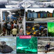 a-OCEANOPOLIS-montage-2-20180524