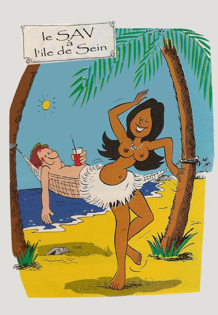 le petit journal SDMO-SAV Ile de sein copie