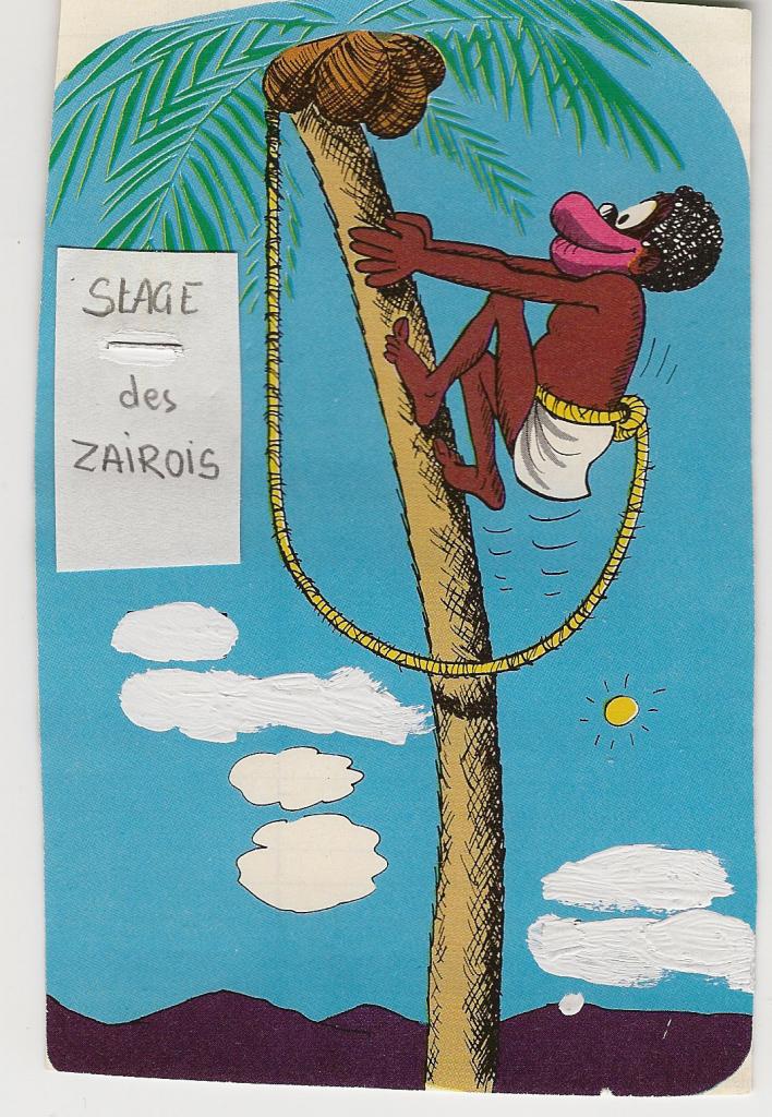 le petit journal SDMO-thomson stage zairois