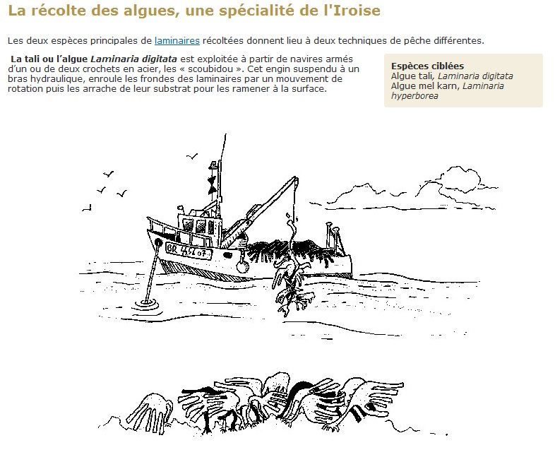 Musee-23
