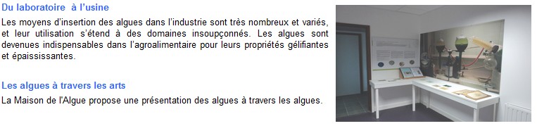 Musee-42